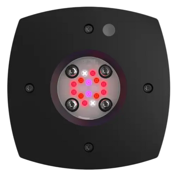 AI Prime Fuge