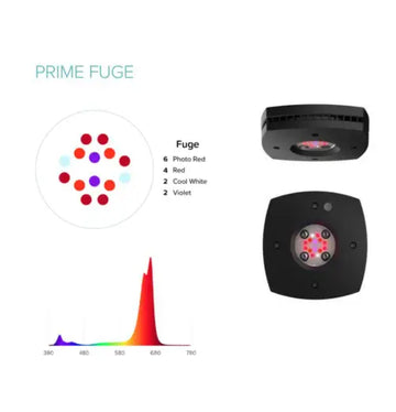 AI Prime Fuge