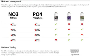 ATI Nutrition P