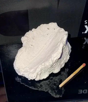 Clam holder rock small