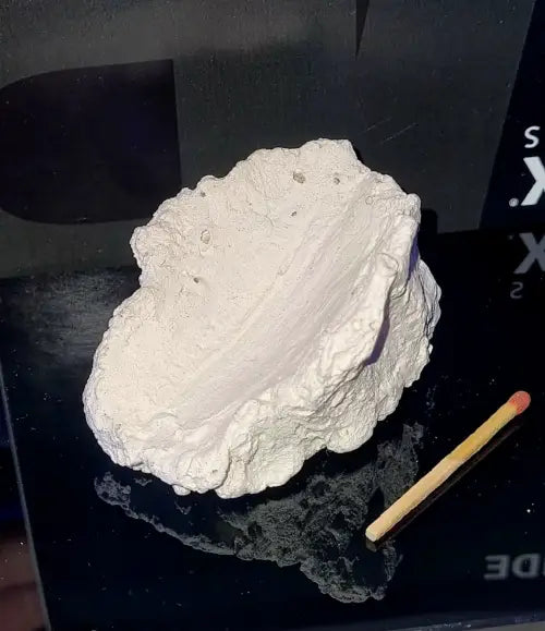 Clam holder rock small
