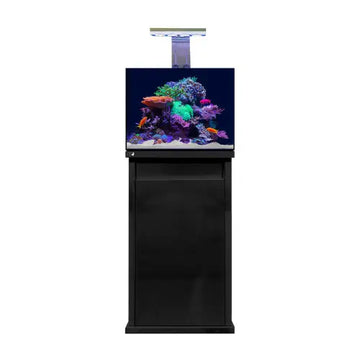 D-D Reef-Pro 600 - Ultra Gloss Black - Akvaariot