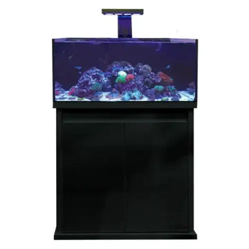 D-D Reef-Pro 900 - Ultra Gloss Black - Akvaariot