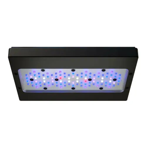 Ecotech Marine Radion XR30 G6 BLUE - Akvaarion valaistus