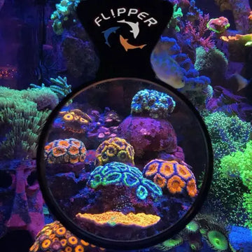 Flipper DeepSee Max - Magnified Aquarium Viewer (5’’)