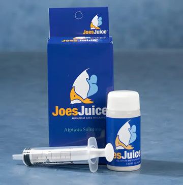 Joes Juice Aiptasia Eliminator 20mL