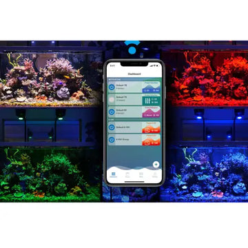 Kessil A500X - akvaariovalaisin