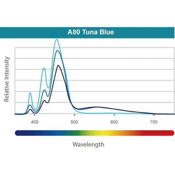 Kessil LED A80 Tuna Blue - Akvaarion valaistus