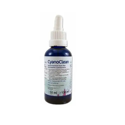 KZ Cyano Clean - against cyano (50ml) - Akvaariovedenhoito