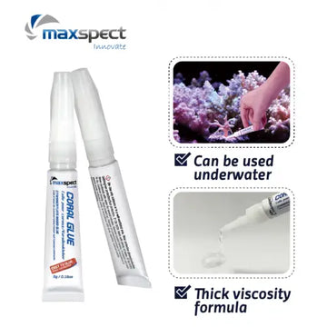Maxspect Coral Glue stick 5g - Liimat
