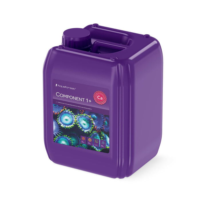 Component 1+ 5l