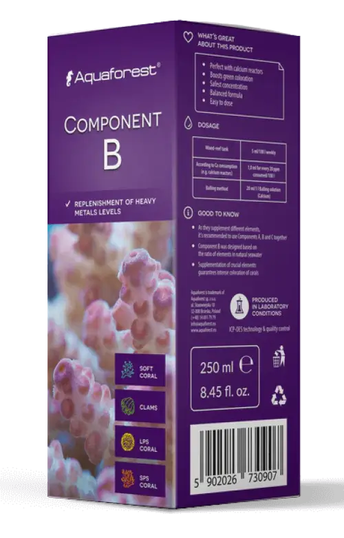 AF COMPONENTS B 200ml