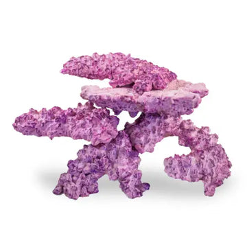 AF NANO Rock box (3,5kg)