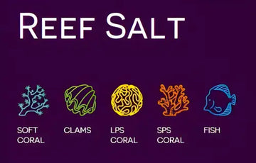 AF Reef Salt - marine salt for Soft/LPS/SPS 2kg - Akvaariovedenhoito