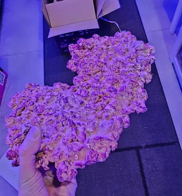 AF Rock (Shelf) /kpl - Akvaarion koristeet