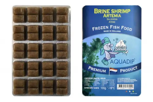 Artemia (Brine shrimp) – 100 gram blister (pakaste)