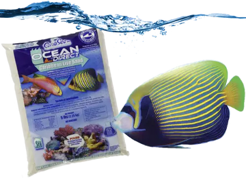 CaribSea Ocean Direct - Oolite live sand (2,25kg)