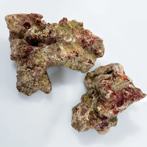 Elävä kivi (Live rock)