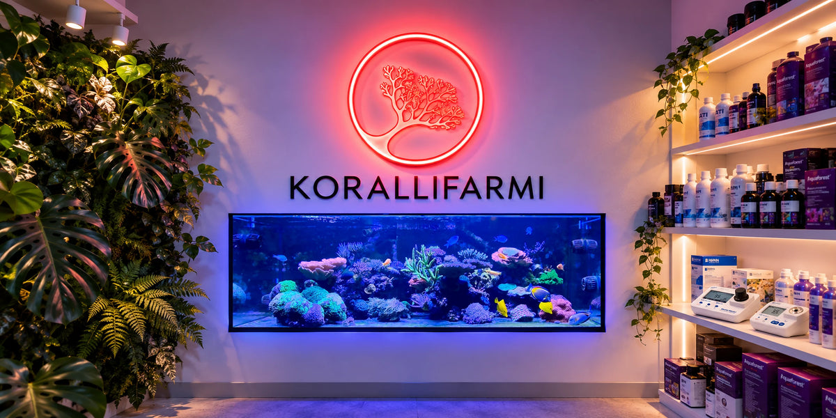 Korallifarmin neonlogo ja riutta-akvaario Reef Shopissa