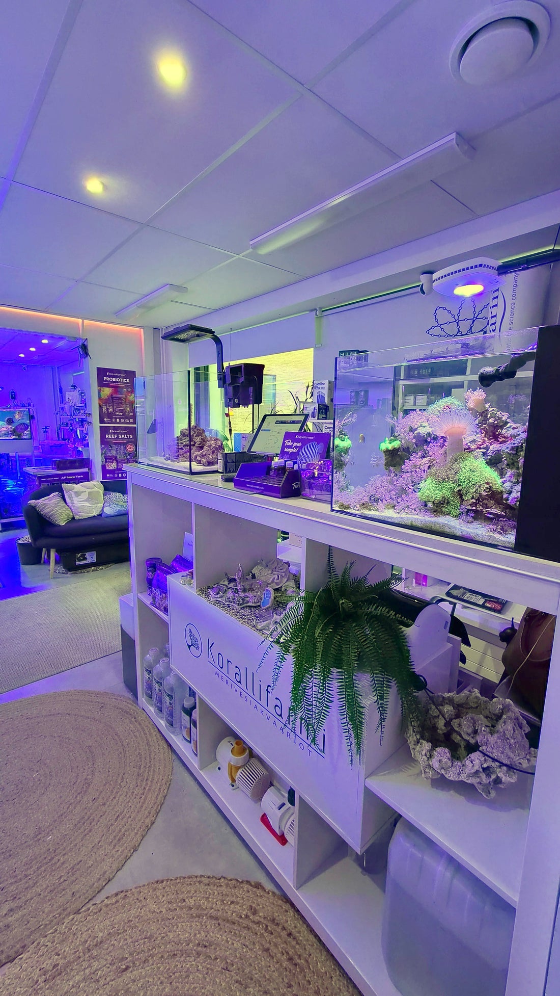 Korallifarmi Reef Shop Jätkäsaaressa