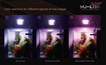 Maxspect Jump LED - REFUGIUM (30W)