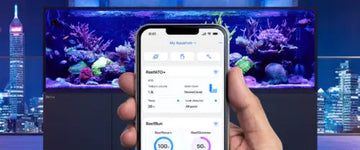 Red Sea ReefATO+ System