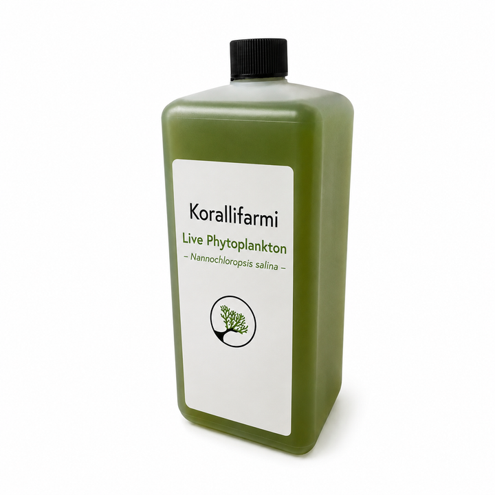 Korallifarmi Live Phytoplankton – Nannochloropsis salina