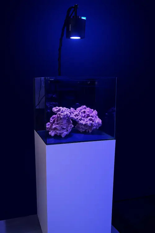Waterbox Cube 20 Nano Reef Starter Kit