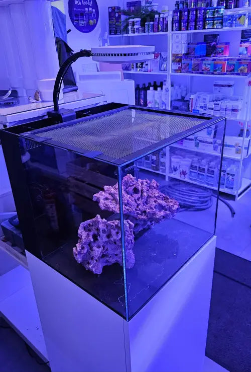 Waterbox Cube 20 Nano Reef Starter Kit